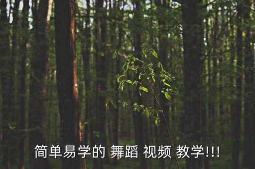 五级舞蹈所有教学视频,领军钢管舞培训学校教学内容如何进行?