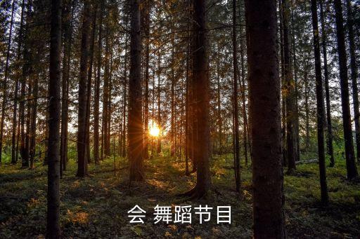 会 舞蹈节目