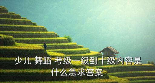  少儿 舞蹈 考级一级到十级内容是什么急求答案