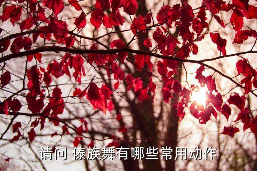 请问 傣族舞有哪些常用动作