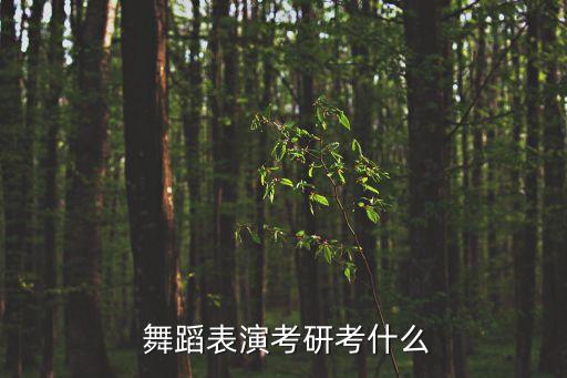  舞蹈表演考研考什么