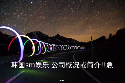韩国sm娱乐 公司概况或简介!!急~