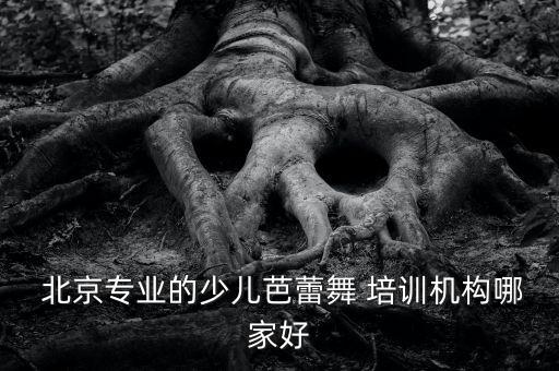  北京专业的少儿芭蕾舞 培训机构哪家好