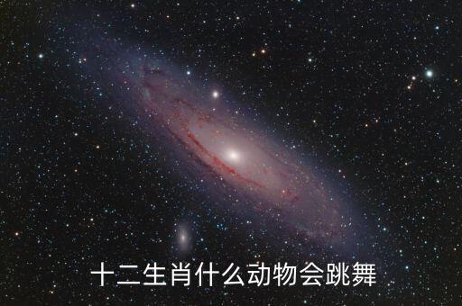  十二生肖什么动物会跳舞