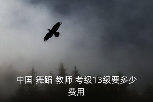 中国 舞蹈 教师 考级13级要多少费用