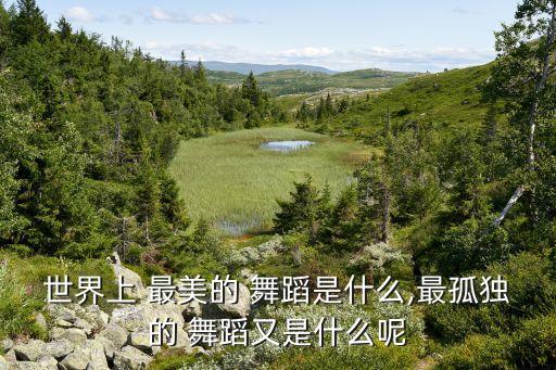世界上 最美的 舞蹈是什么,最孤独的 舞蹈又是什么呢