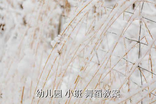 两只老虎舞蹈视频小班,《宝贝宝贝》第一集