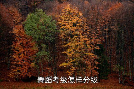 全国青少年舞蹈,金坤杯青少年体育舞蹈线上大奖赛报名截止