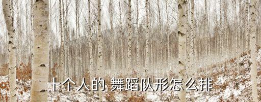 十个人的 舞蹈队形怎么排