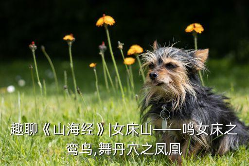 趣聊《山海经》|女床山——鸣女床之鸾鸟,舞丹穴之凤凰