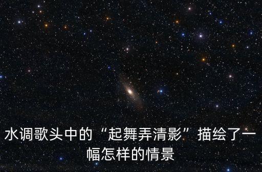 水调歌头中的“起舞弄清影”描绘了一幅怎样的情景