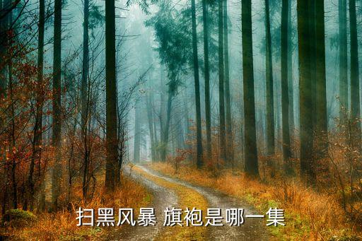 旗袍伞舞蹈视频,年长国人对老师的爱!