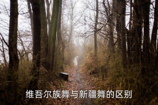 维吾尔族舞与新疆舞的区别