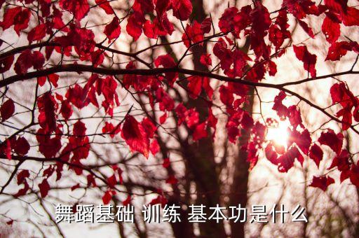 舞蹈基本功魔鬼式训练,那些舞蹈教育的悲哀!