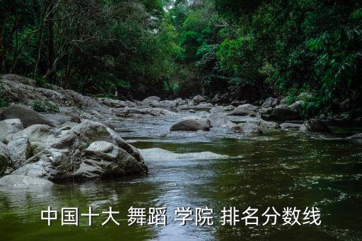 中国十大 舞蹈 学院 排名分数线