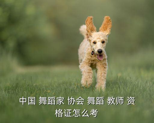舞蹈家协会舞蹈教师资格证,舞蹈教师资格证成绩查询网址
