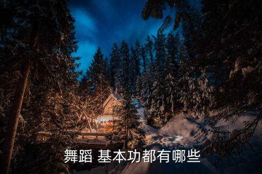 舞蹈基本功 形体站姿,什么是广义的基本功?
