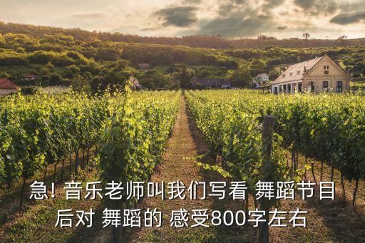 急! 音乐老师叫我们写看 舞蹈节目后对 舞蹈的 感受800字左右