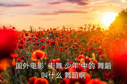 国外电影‘ 街舞 少年’中的 舞蹈叫什么 舞蹈啊