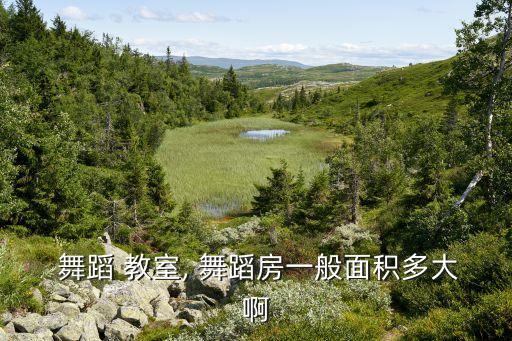  舞蹈 教室, 舞蹈房一般面积多大啊