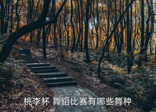 桃李杯 舞蹈比赛有哪些舞种