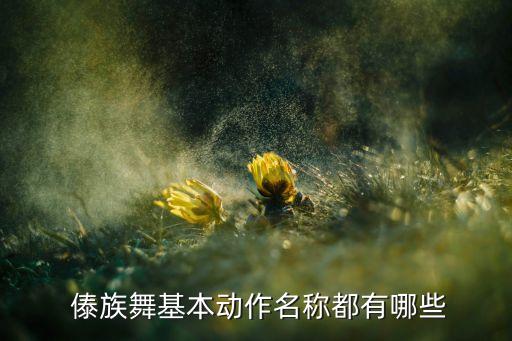 傣族舞基本动作名称都有哪些