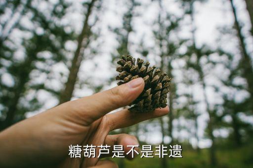 舞蹈冰糖葫芦,冰糖葫芦冰盾设计灵感来自北京冬奥会冰雪雪橇赛