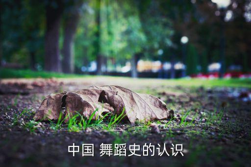 中国 舞蹈史的认识