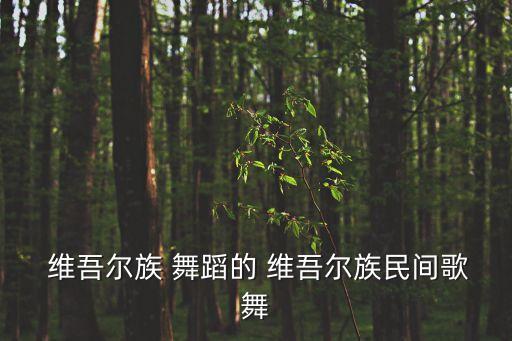  维吾尔族 舞蹈的 维吾尔族民间歌舞