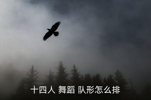 十四人 舞蹈 队形怎么排
