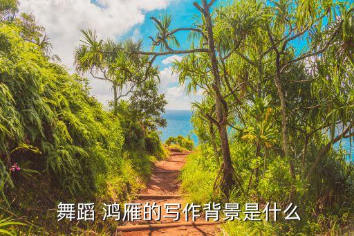 舞蹈南方舞蹈学院鸿雁,上海歌舞团舞蹈团即兴表演舞蹈鸿雁