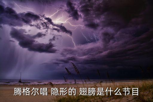 腾格尔唱 隐形的 翅膀是什么节目