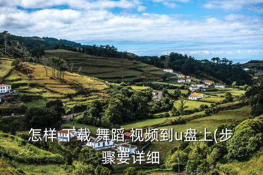 成人群舞蹈视频 迅雷下载,怎么下载视频?看这里!