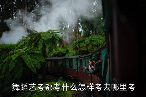  舞蹈艺考都考什么怎样考去哪里考