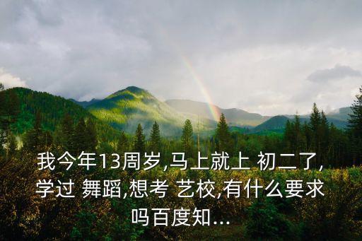 我今年13周岁,马上就上 初二了,学过 舞蹈,想考 艺校,有什么要求吗百度知...