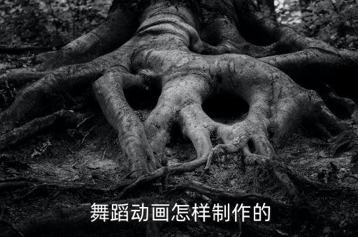 舞蹈动画怎样制作的