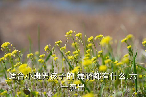 适合小班男孩子的 舞蹈都有什么,六一演出