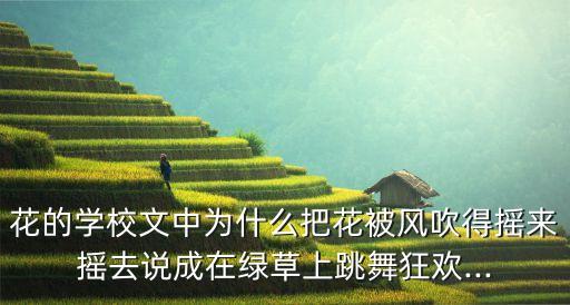 读书摇舞蹈视频下载,我和你一样希望被选中留下美好的未来