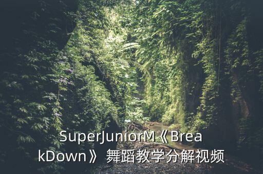 SuperJuniorM《BreakDown》 舞蹈教学分解视频
