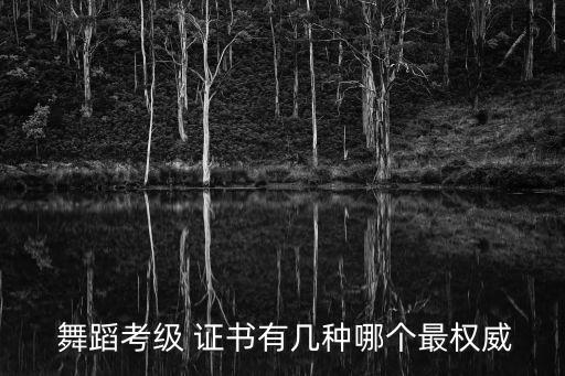  舞蹈考级 证书有几种哪个最权威
