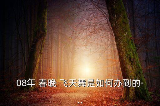 08年 春晚 飞天舞是如何办到的···