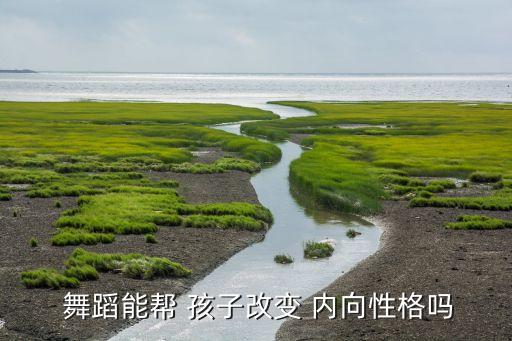  舞蹈能帮 孩子改变 内向性格吗