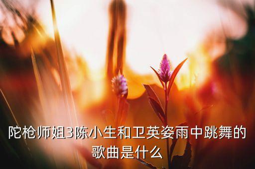 陀枪师姐3陈小生和卫英姿雨中跳舞的歌曲是什么