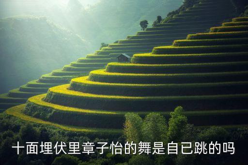 王云生舞蹈《葬花》,《十面埋伏》讲述了什么是武侠小说?