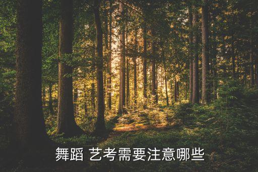  舞蹈 艺考需要注意哪些