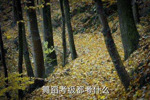 舞蹈b级的考级测,中国舞蹈等级证书涵盖多个专业领域