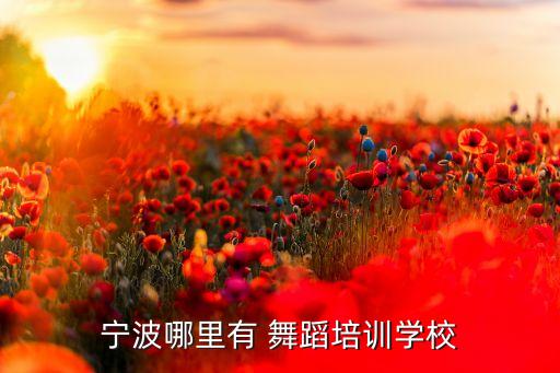 宁波哪里有 舞蹈培训学校