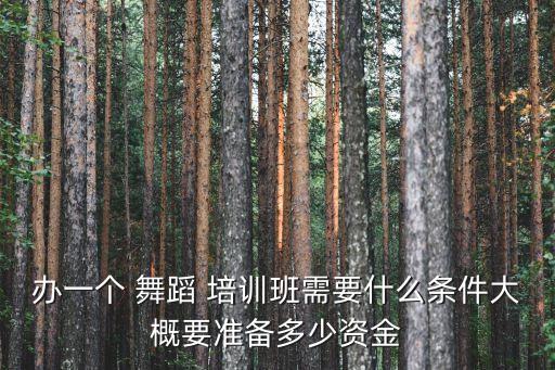 办一个 舞蹈 培训班需要什么条件大概要准备多少资金