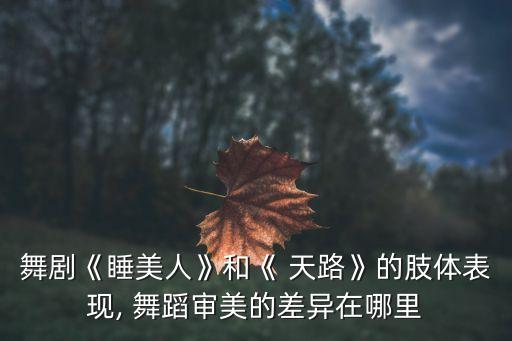 舞剧《睡美人》和《 天路》的肢体表现, 舞蹈审美的差异在哪里