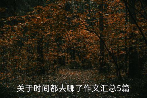 时间都去哪儿简单舞蹈视频下载,《时间都去哪里了,》第二集
